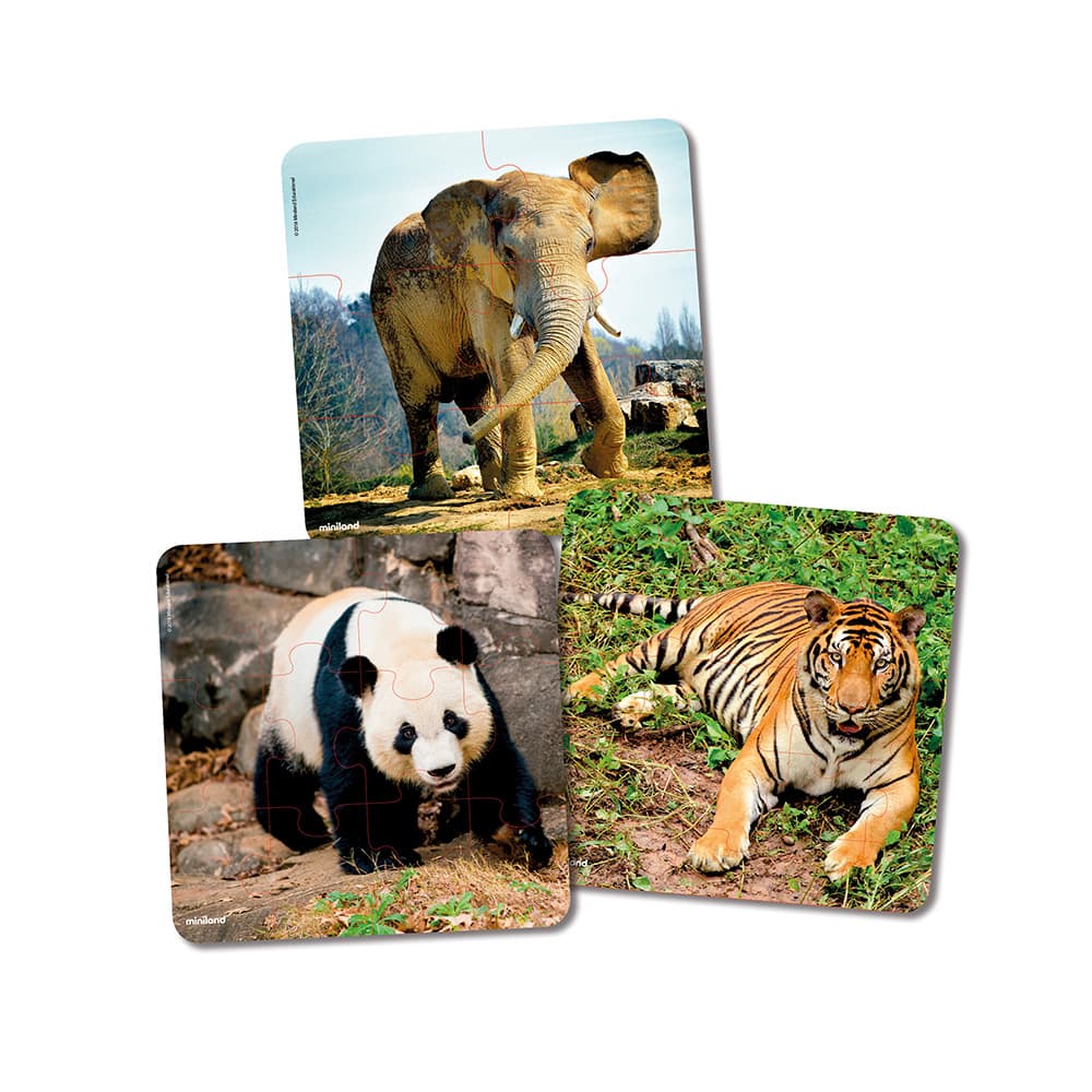 Set de 3 puzzles progresivos: Animales